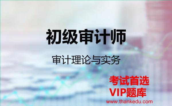 2026年初级审计师《审计理论与实务》VIP题库