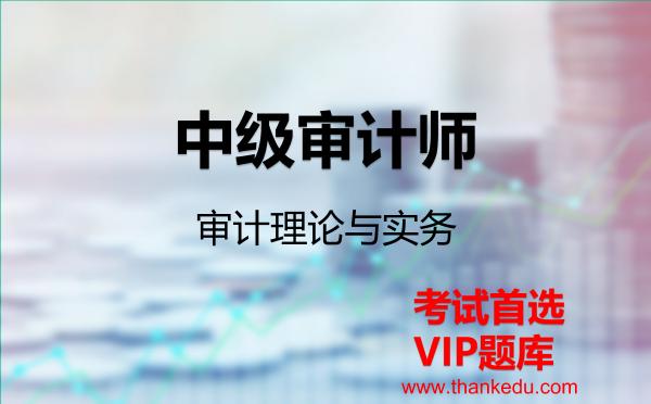 2026年中级审计师《审计理论与实务》VIP题库