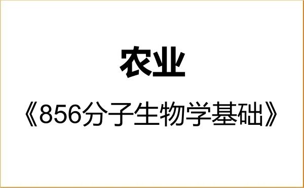 【初试】2027年湖北大学095100农业《856分子生物学基础》考研精品资料 【初试】2027年湖北大学095100农业《856分子生物学基础》考研精品资料