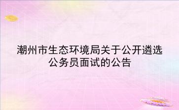 潮州市生态环境局关于2019年公开遴选公务员面试的公告