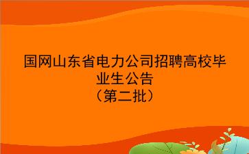 国网山东省电力公司2020年招聘高校毕业生公告(第二批) 国网山东省电力公司2020年招聘高校毕业生公告(第二批)