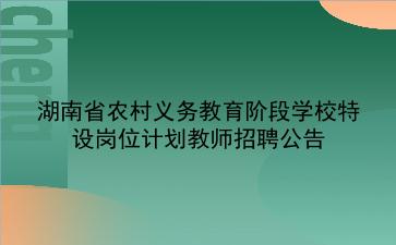 2020年湖南省农村义务教育阶段学校特设岗位计划教师招聘公告