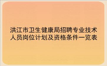 2020年洪江市卫生健康局招聘专业技术人员岗位计划及资格条件一览表