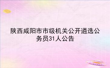 2020陕西咸阳市市级机关公开遴选公务员31人公告